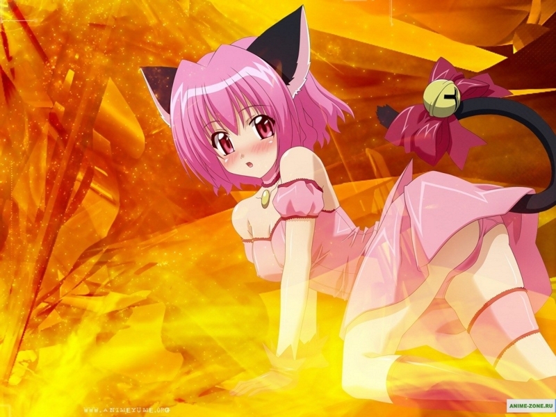 Tokyo Mew Mew